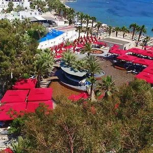 book here
